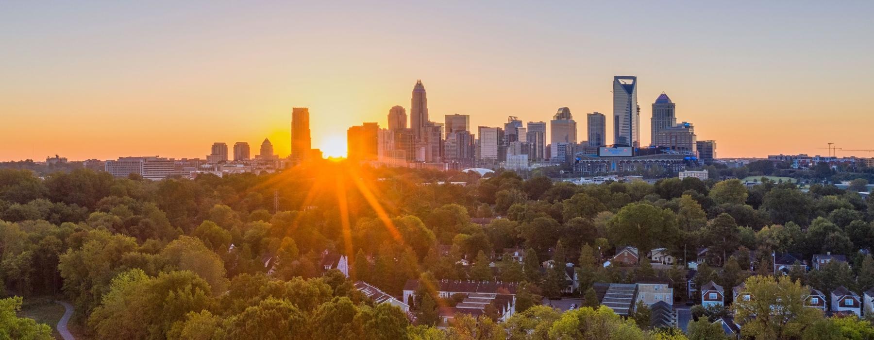 a city skyline with trees and a road
